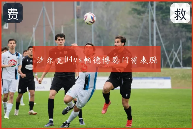 沙尔克04vs帕德博恩门将表现