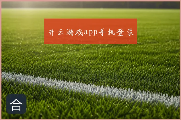 开云游戏app手机登录