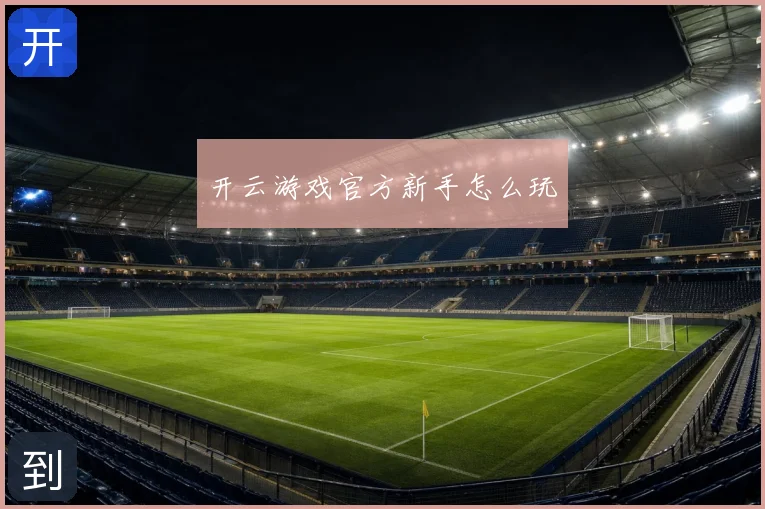 开云游戏官方新手怎么玩