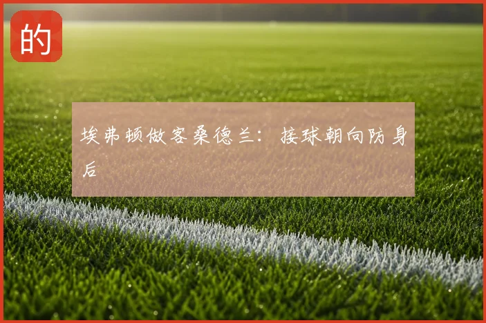 埃弗顿做客桑德兰:接球朝向防身后