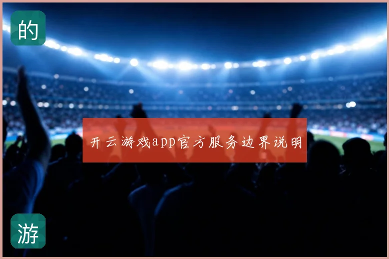 开云游戏app官方服务边界说明